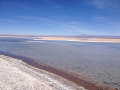 IMG_1170