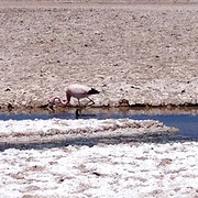 IMG_1171