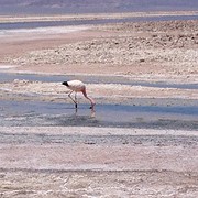 IMG_1172