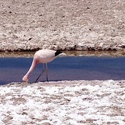 IMG_1176