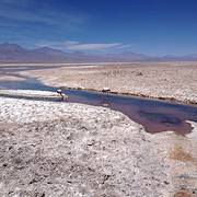 IMG_1178