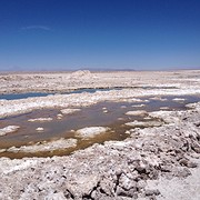 IMG_1180