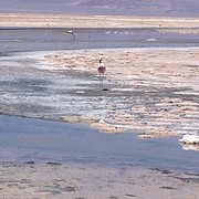 IMG_1181