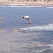 IMG_1182