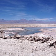 IMG_1186