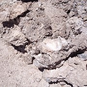 IMG_1188