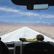 IMG_1192