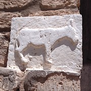 IMG_1200