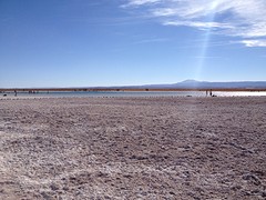 IMG_1214