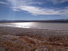 IMG_1215