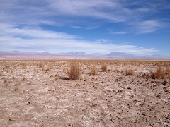 IMG_1216