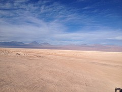 IMG_1221