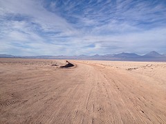 IMG_1223