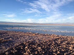 IMG_1229
