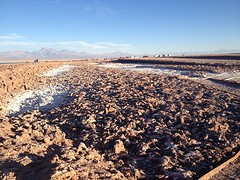 IMG_1230