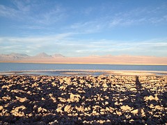 IMG_1232