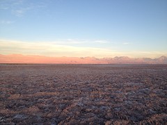 IMG_1233