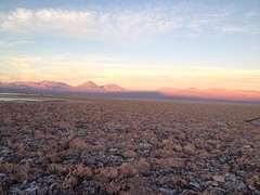 IMG_1241