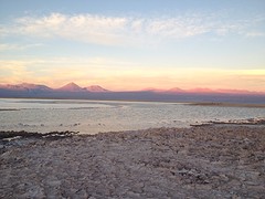 IMG_1243