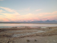 IMG_1245
