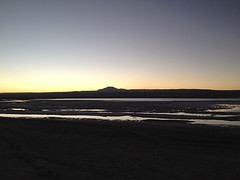 IMG_1246