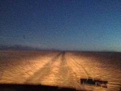 IMG_1251