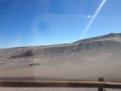 IMG_1278