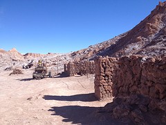IMG_1288