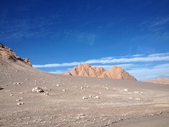 IMG_1294