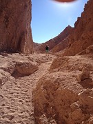 IMG_1303