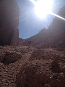 IMG_1304