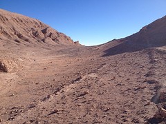 IMG_1307