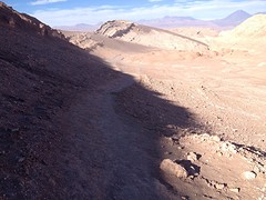 IMG_1309