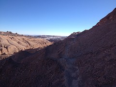 IMG_1310