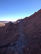 IMG_1311