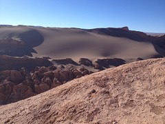 IMG_1315