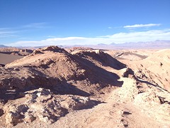 IMG_1317