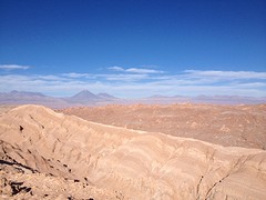 IMG_1319