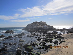 IMG_2613