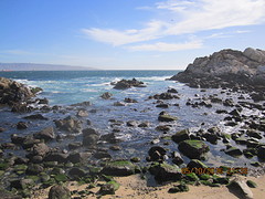 IMG_2614