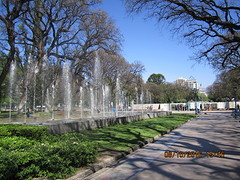 IMG_2669