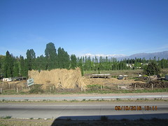 IMG_2679