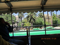 IMG_3317