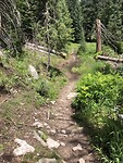 Pagosa Springs Four Miles hike