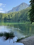 Alpsee 7