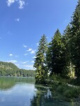 Alpsee wandeling