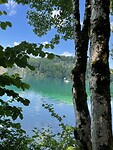 Alpsee 4