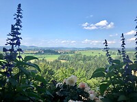 Hohen Schwangau