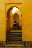 DSC02768