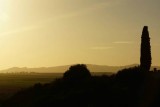 DSC02916